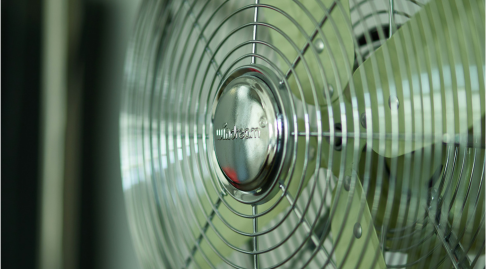 Picture of fan